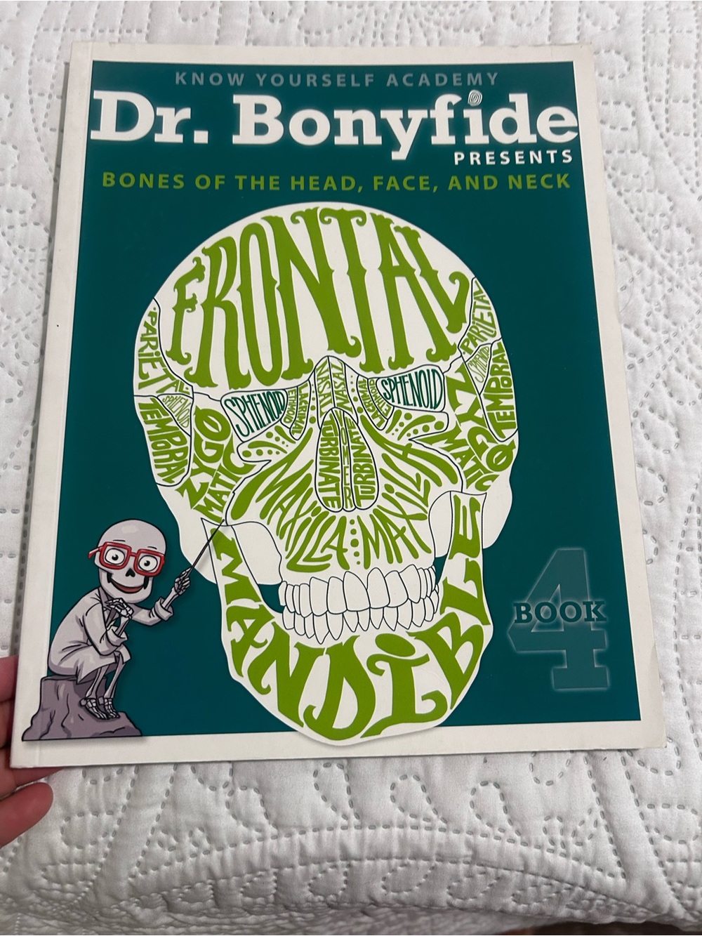Dr bonyfide science homeschool bones of the head , face and neck activity book